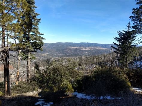 Cuyamaca Peak Hiking Trail Guide The Simple Hiker