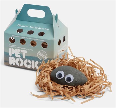 Film Inspired Pet Rocks Everything Everywhere All At Once