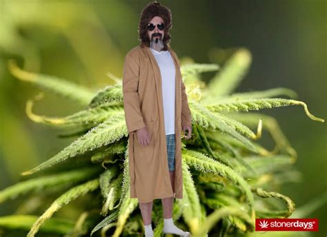 Stoner Halloween Costumes Stoner Blog Stonerdays