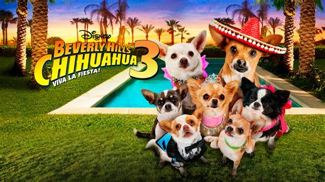 Foto De La Pel Cula Un Chihuahua En Beverly Hills Viva La Fiesta