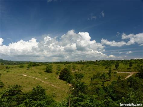 Hacienda El Jibarito