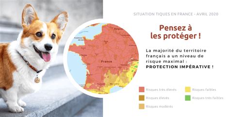 Conseil V T Rinaire Blog Carte Des Tiques En France