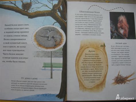 Книга: Детская энциклопедия животных. Маленькие и пушистые - Тинг ...