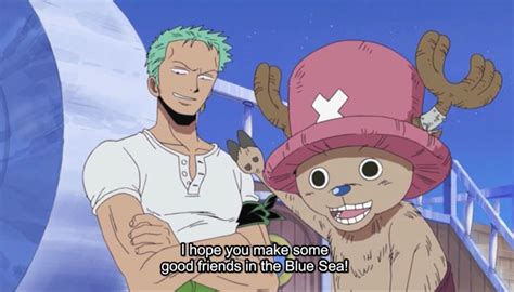 Zoro and Chopper | One piece anime, Anime, Chopper