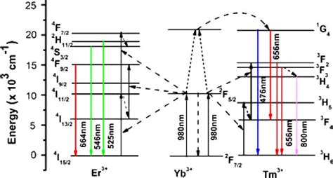 Schematic Energy Level Diagram For Er Tm Yb Ions With Possible Channels