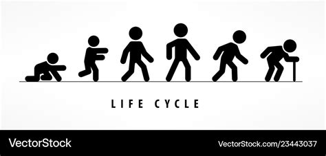 Man Life Cycle Flat Vector Illustration Male Person Aging Stages Guy Images