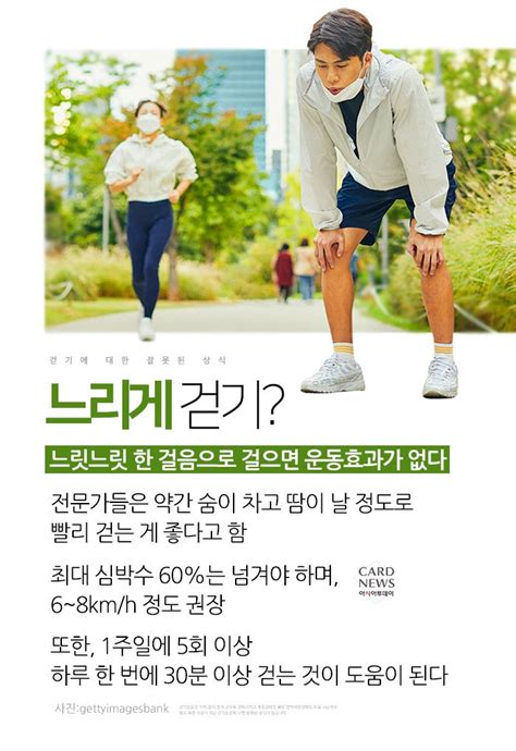 카드뉴스 하루에 만보 걷기 “걷기에 대한 잘못된 상식” 아시아투데이