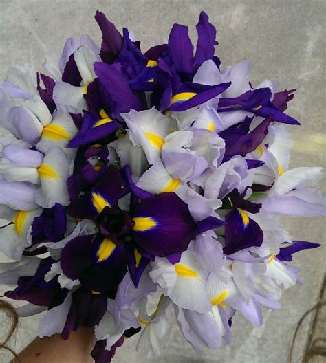 Lavender and Dark Purple Iris Bouquet | Iris bouquet, Fresh flower bouquets, Flowers bouquet