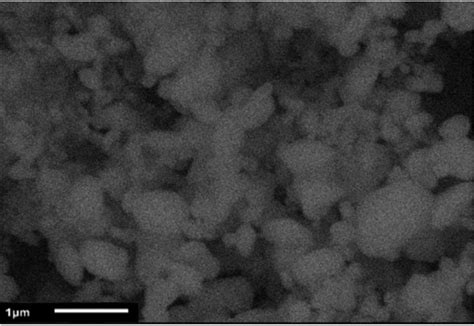 SEM Image Of Tin Oxide SnO2 Nanoparticles Annealed At 1000 C