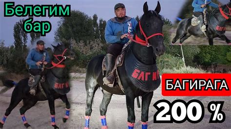 коркбой 200 процент ЖООП берем БАГИРАГА 👍АНАН БЕЛЕГИ ДАГЫ БАР - YouTube