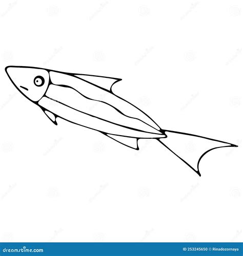 Handdrawn Black And White Fish Doodle Sketch Illustration Stock Vector