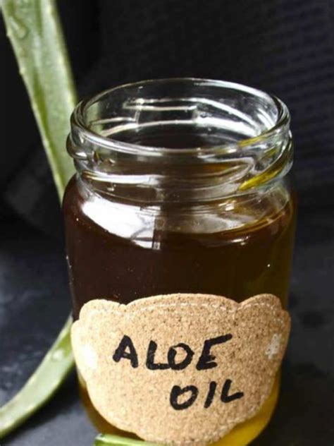 How To Make Aloe Vera Oil Homemade Aloe Vera Oil For Long And Lustrous