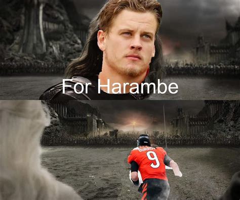 We are all Bengals! : r/nflmemes