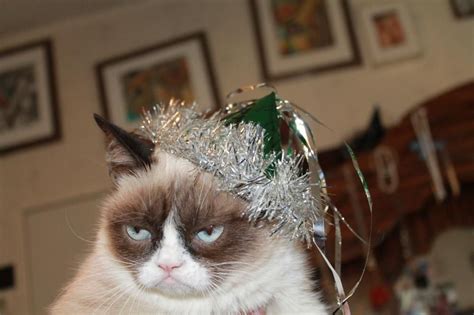 Happy New Years From Grumpy Cat Grumpy Cat® The Worlds Grumpiest