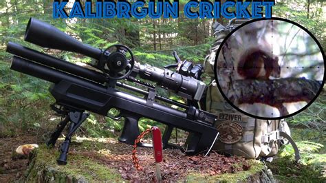 Air Rifle Squirrel Hunting with the KalibrGun Cricket - YouTube