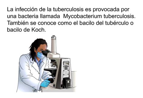 Patedu Tuberculosis Pediatr A