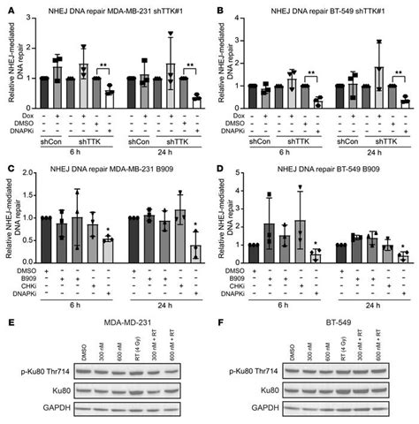 JCI TTK Inhibition Radiosensitizes Basal Like Breast Cancer Through