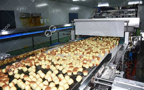 Maintenance and Repair of Bakery Equipment - Bakery Food Processing ...