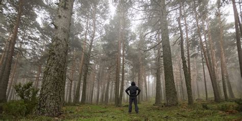 What To Do If You Get Lost In The Wild The Art Of Manliness