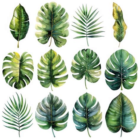 Handpainted Watercolor Set With Tropical Green Leaves On White