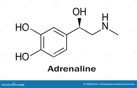 Molecular Formula Of Adrenaline Structure Of Molecule Stock Vector