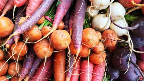 Les bienfaits des légumes racines pour une alimentation équilibrée