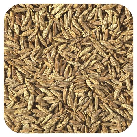 Starwest Botanicals Organic Cumin Seed 1 Lb 453 6 G