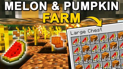 EASY Automatic Melon Pumpkin Farm In Minecraft 1 21