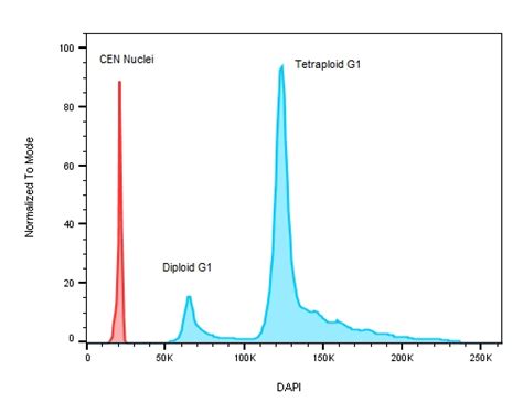 Dna Content Ploidy Analysis