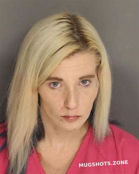 FARLESS BRANDY MARIE 08 19 2023 Berkeley County Mugshots Zone