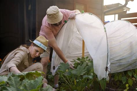 Agricultura y Ganadería Ecológicas y Regenerativas Nutriendo el