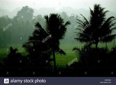 Rainy Season In Kerala Stock Photos & Rainy Season In Kerala Stock ...