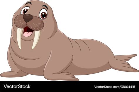 Cartoon Walrus Isolated On White Background Vector Image