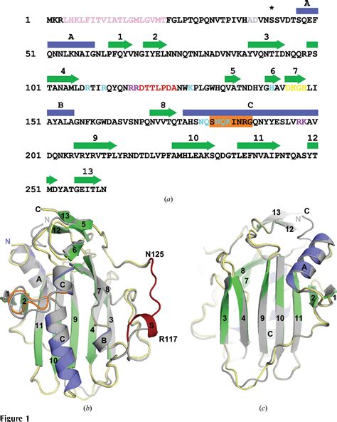 Figure 1 From Biological Crystallography Structural Characterization Of