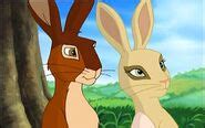 Hazel | Watership Down Wiki | Fandom