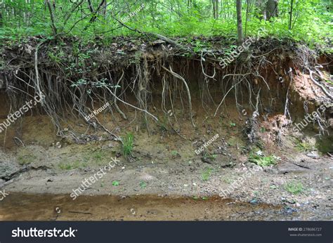 733 Stream bank erosion Images, Stock Photos & Vectors | Shutterstock