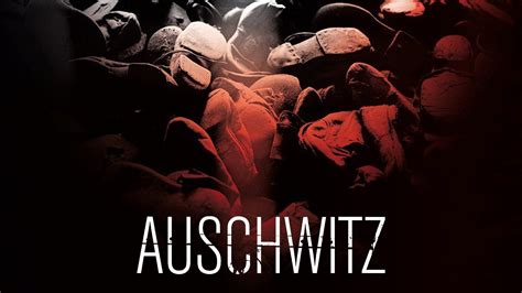 Watch Auschwitz (2011) Full Movie Online - Plex