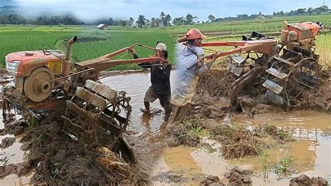 Semangat Kerja Sore Kerjasama Dua Traktor Sawah Menggarap Lahan