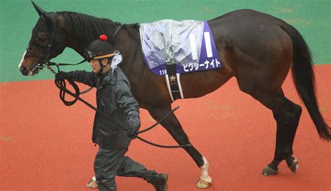 【死の馬番】高松宮記念大敗馬に注意！京王杯スプリングcデータ分析 ラブすぽ