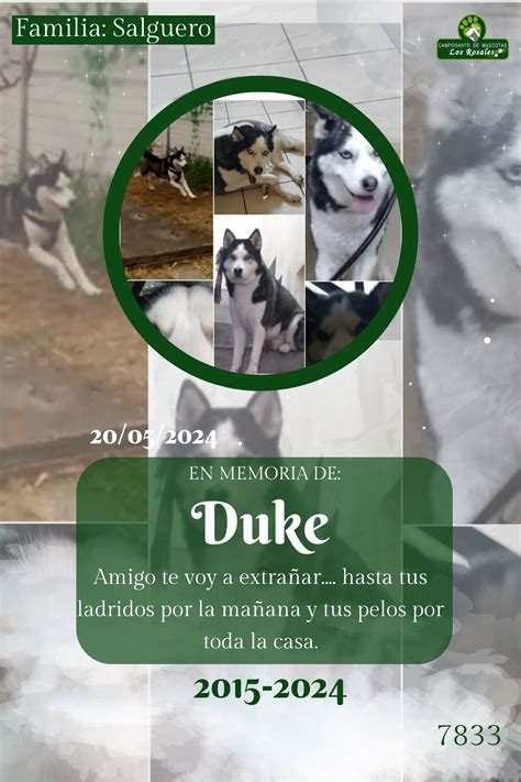 DUKE Camposanto De Mascotas Los Rosales