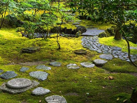 22 Ideas For Landscaping With Moss Rocks Inspirational Picture List