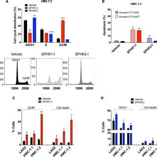 Effects Of Sphk And Sphk Inhibition In The Intracellular Levels Of