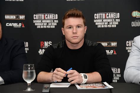 Canelo Alvarez Knocks out Rocky Fielding to Win WBA Middleweight Title ...