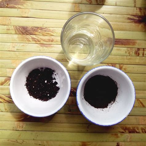 Как определить и изменить кислотность почвы