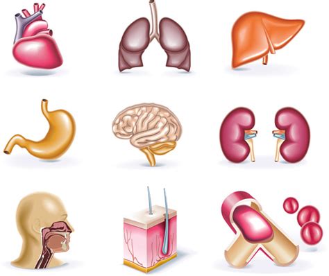 medical cliparts free download 10 free Cliparts | Download images on ...