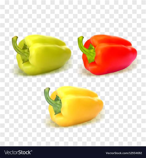 Set Of Three Peppers Yellow Red And Green Pepper Vector Image