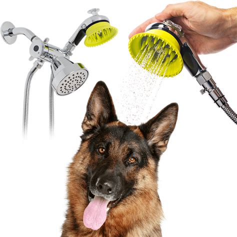 How Can I Wash My Dog Without Water