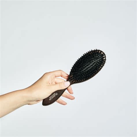 Brosse En Poil De Sanglier Fabrication Fran Aise Plisson