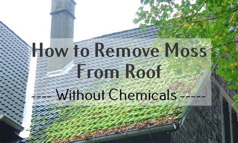 Easy Methods On How To Remove Moss From Roof Without Chemicals Roof Tips