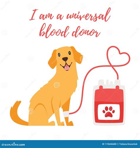 Can My Dog Donate Blood
